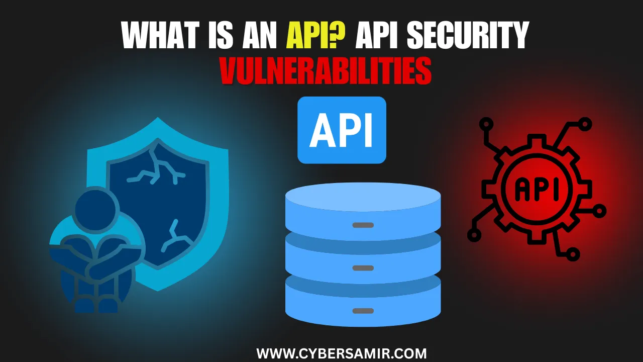 What is an API? API Security Vulnerabilities