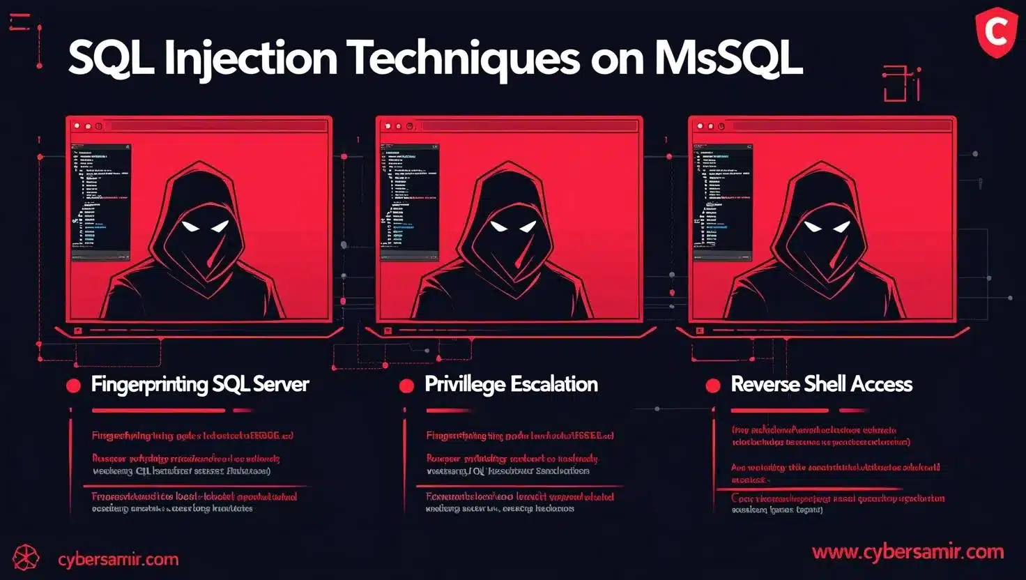 SQLninja Cheatsheet: Exploiting SQL Injection on MSSQL