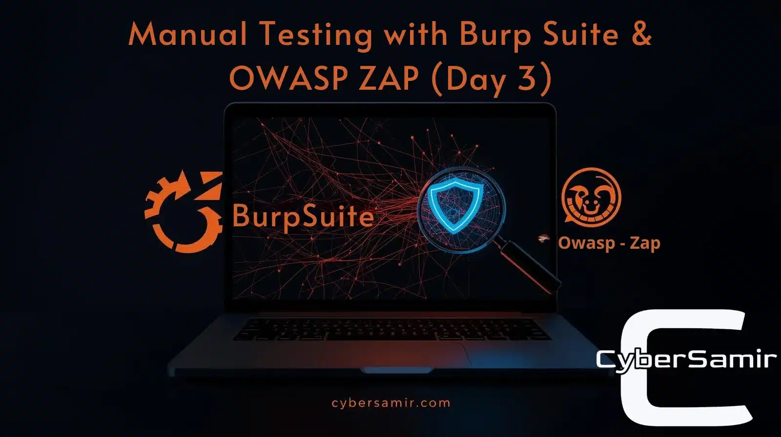 Web application requests intercepted in Burp Suite