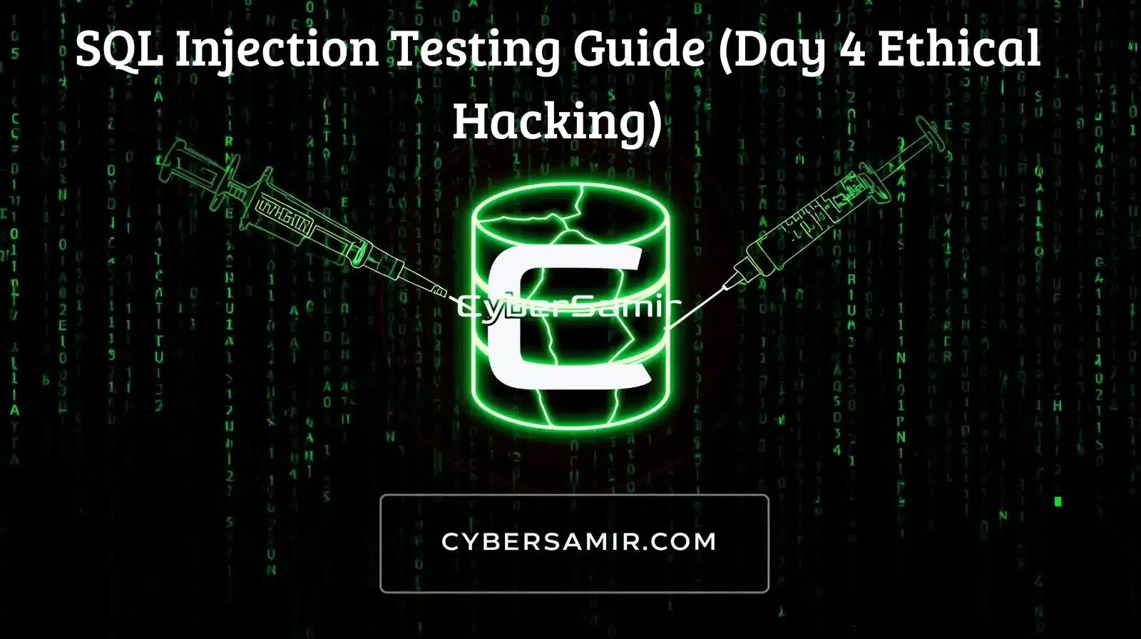 SQL injection attack on vulnerable website